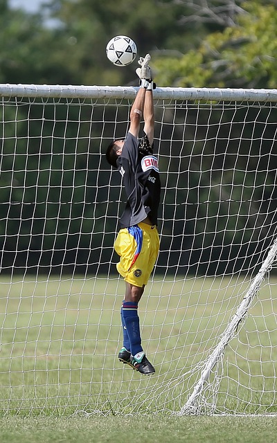 合理融入 合理融入