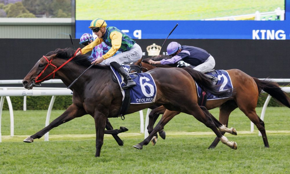 了一些显而 了一些显而